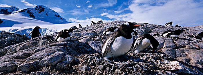 日本科幻战斗飞行游戏《G-Rebels》实机宣传片