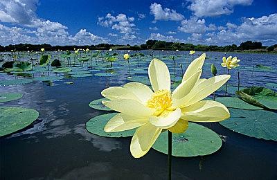 《极速骑行5》PC版性能表现分析：优化极为出色