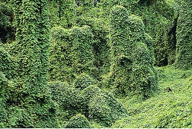 《边缘世界》大型恐怖主题资料片“异常”上市日期公布